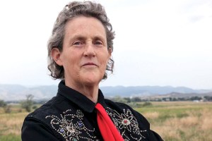 temple_grandin